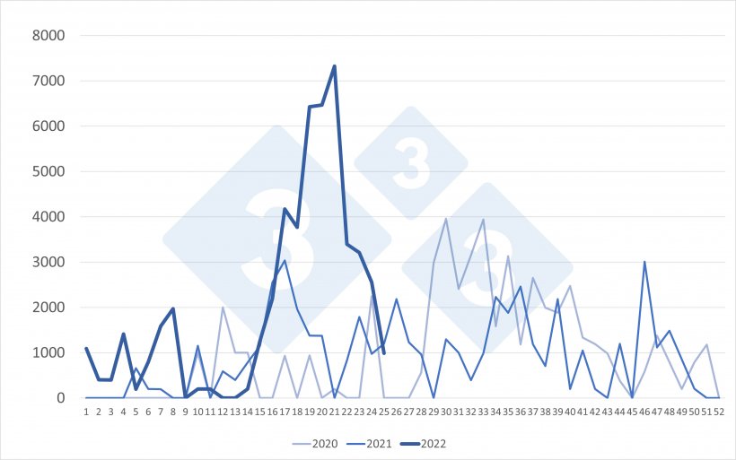 Importações semanais de porcos holandeses (cabeça). Fonte: 333 com base em dados do RVO