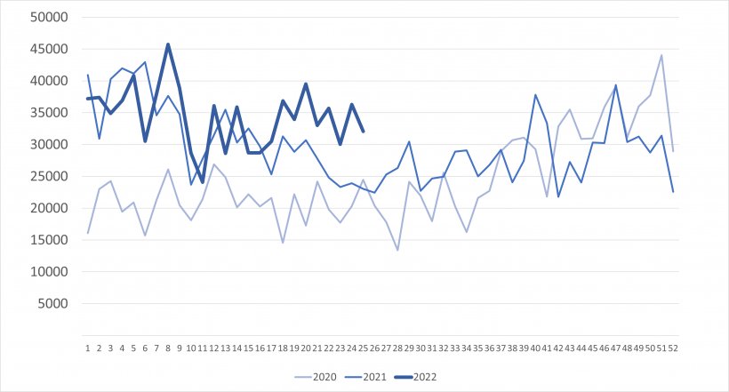 Importações semanais de leitões holandeses (cabeça). Fonte: 333 com base em dados do RVO