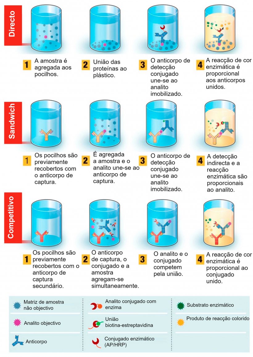 Figura 1. Descrição geral do teste diagnóstico baseado no ensaio por imunoabsorção ligado a enzimas (ELISA).  Fonte: Adaptado de Ghaffari et al. 2020.
