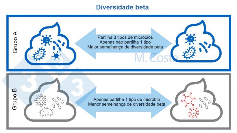 Figura 3. Compreender mudanças na composição microbiana entre amostras (diversidade beta). Uma comunidade microbiana mais semelhante partilha mais tipos de micróbios entre amostras. Normalmente, outros aspectos (tais como relações genéticas entre micróbios) são tidos em conta no cálculo do índice de diversidade beta.
