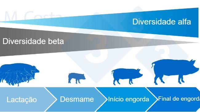 Figura 4. Dinâmica da diversidade alfa e beta durante a vida do porco.