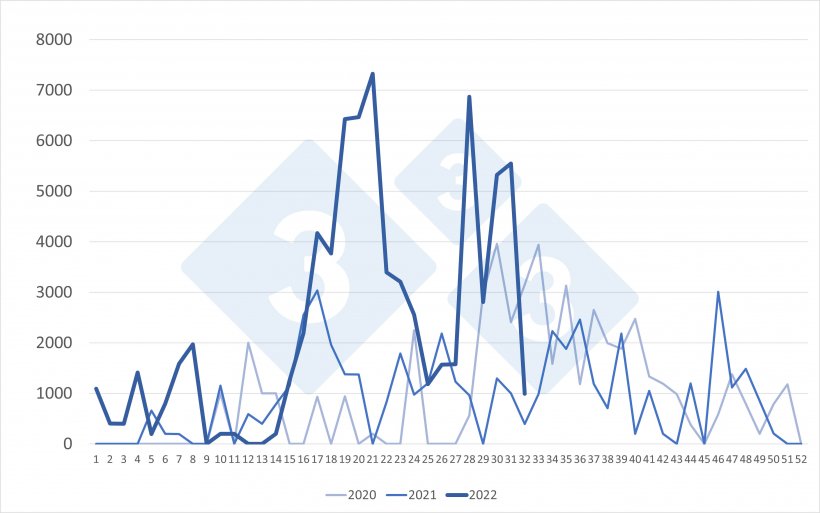 Importações semanais de porcos holandeses (cabeça). Fonte: 333 com base em dados do RVO.