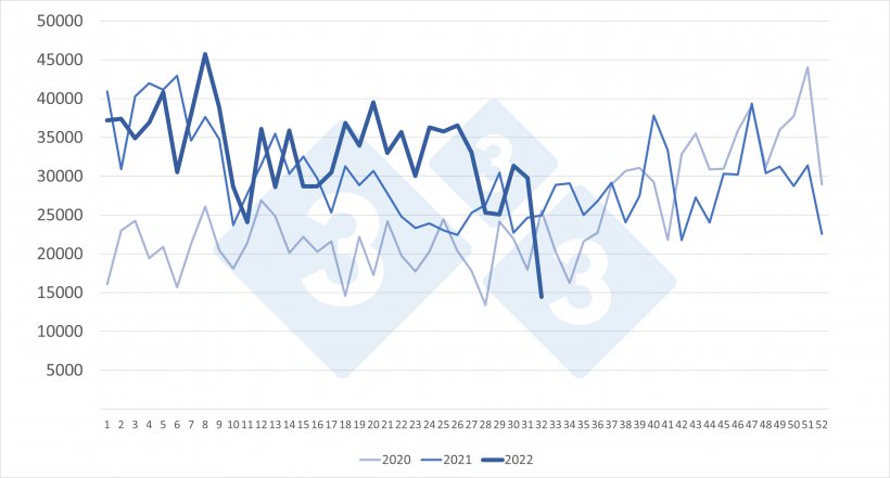 Importações semanais de leitões holandeses (cabeça). Fonte: 333 com base em dados do RVO.