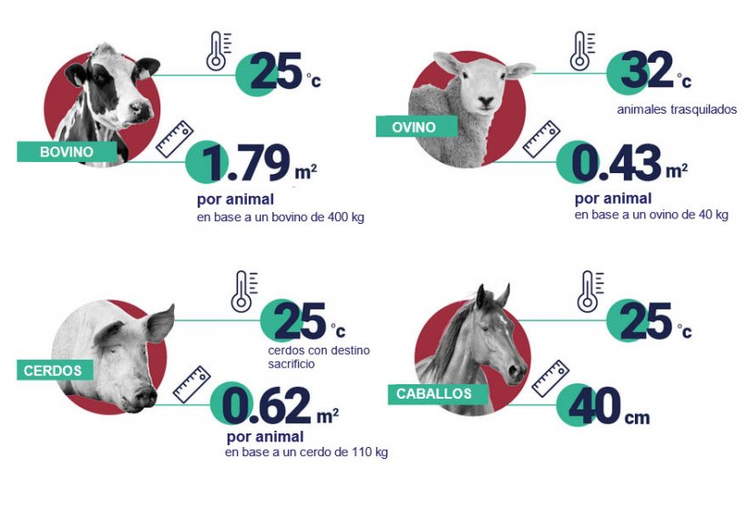 Espacio y temperaturas recomendados por animal. Fuente: EFSA.