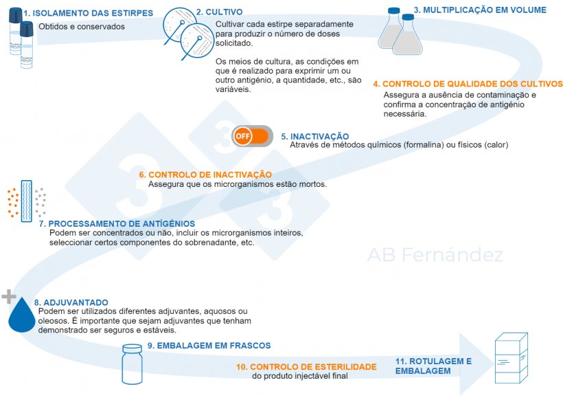 Figura 1. Esquema de fabricação de uma autovacina
