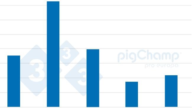 Gráfico 2. Evolução da criação de porcas adoptantes 2017-2021