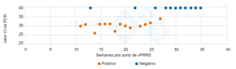 Figura 1. Evolução dos valores Ct da PCR nas semanas após o surto de PRRS.