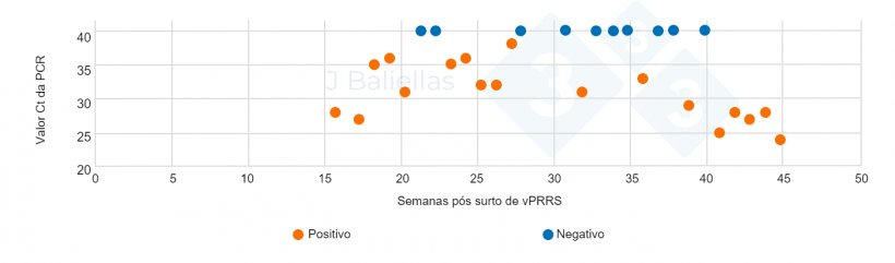 Figura 4. Evolução dos valores Ct da PCR nas semanas após o surto de PRRS.