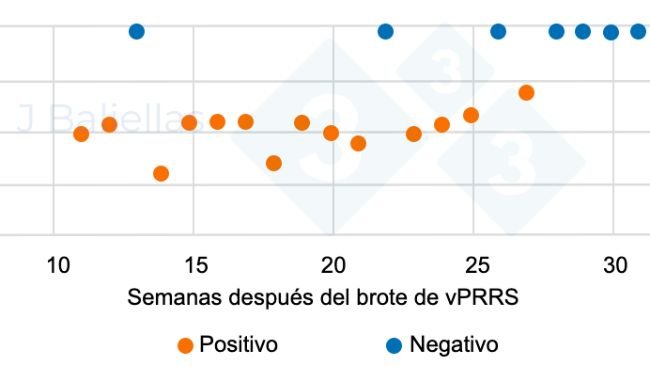 Figura 1. Evolução dos valores Ct da PCR nas semanas após o surto de PRRS.