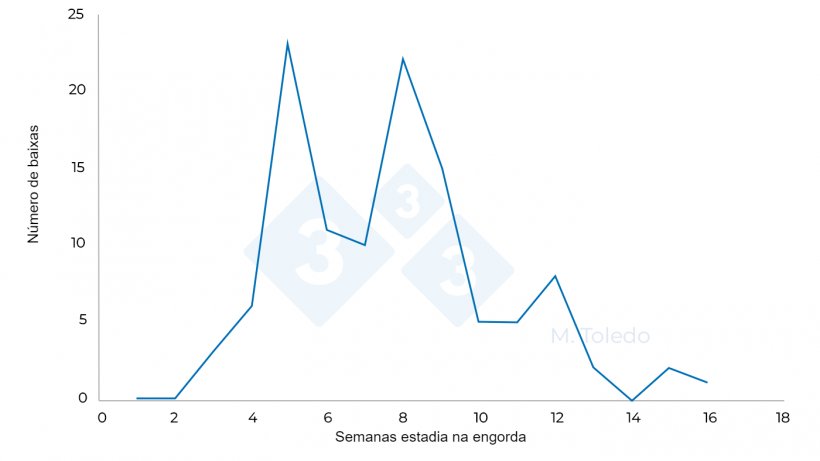 Figura 3. Evolução das baixas de uma engorda após a medicação S 4- florfenicol na água de bebida, S6 -Marbofloxacina injectável, S8 -Tiamulina ou Lincomicina na água de bebida
