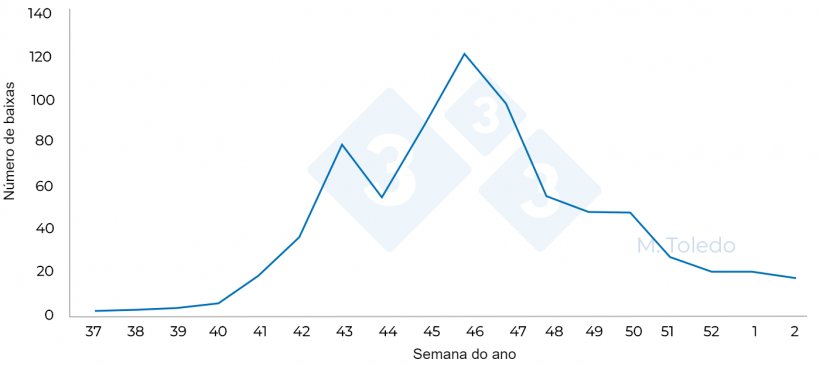 Figura 4. Número de baixas na totalidade das engordas em função da semana do ano