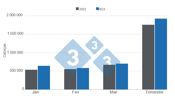 Gr&aacute;fico 1. Abate de su&iacute;nos no primeiro trimestre de 2023 versus 2022.&nbsp;Elaborado pelo Departamento de Economia e Mercados com dados da Secretaria de Agricultura, Pecu&aacute;ria e Pescas do Minist&eacute;rio da Economia da Argentina.&nbsp;
