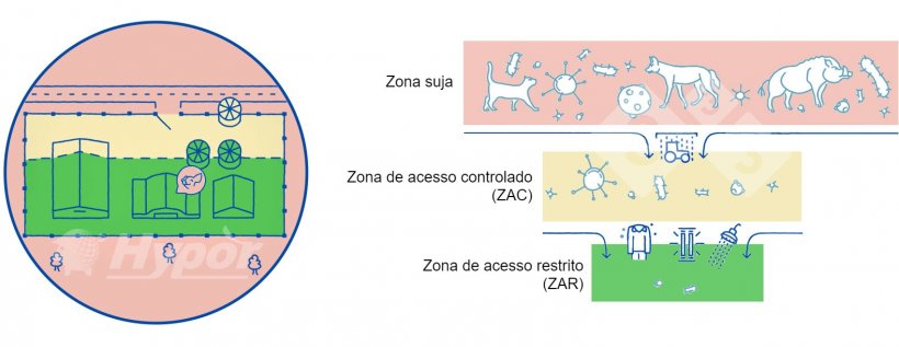 Diferentes zonas sanitárias numa exploração
