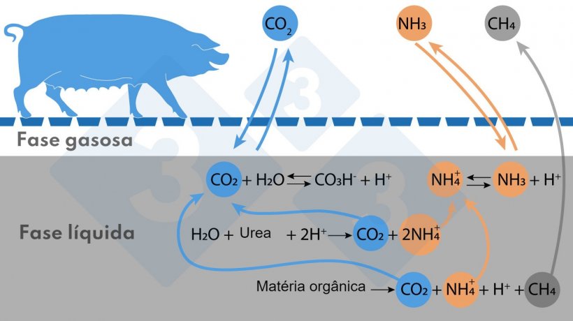 Figura. Esquema simplificado das reacções que afectam as emissões de NH3 e CH4
