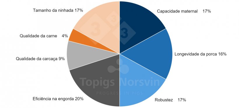 Figura 1. O objectivo de selecção em 2023 para a TN70 inclui 41 características diferentes. O objectivo de selecção reflecte a nossa visão da TN70 como uma porca hiperprolífica altamente autossuficiente que se diferencia pela sua maior capacidade maternal e robustez.