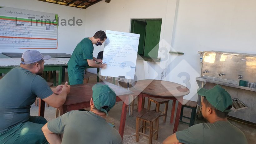 Foto&nbsp;1.&nbsp;Quando a formação inclui aspectos técnicos e comportamentais e faz parte de um programa na exploração agrícola, os jovens sentem-se mais valorizados e têm mais oportunidades de crescimento.