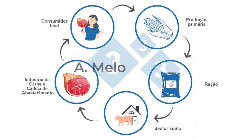 Gr&aacute;fico 1: Gráfico da cadeia alimentar desde a produção primária até à mesa do consumidor final.
