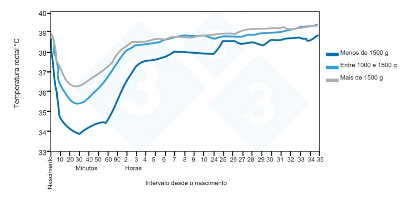 Tendências da temperatura rectal desde o nascimento até às 35 horas de vida em relação ao grupo de peso à nascença. Fonte: Pattison, English, MacPherson e Birnie 1989.
