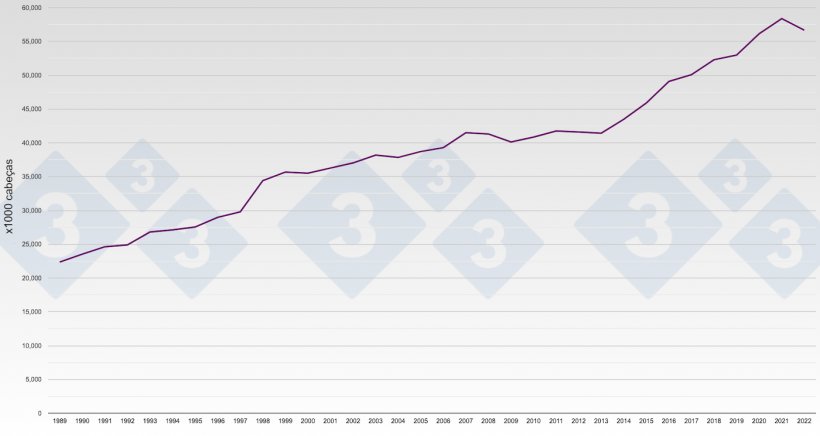 Gr&aacute;fico 1.&nbsp;Evoluci&oacute;n de la&nbsp;producci&oacute;n porcino en Espa&ntilde;a. N&uacute;mero de cerdos sacrificados por a&ntilde;o.
