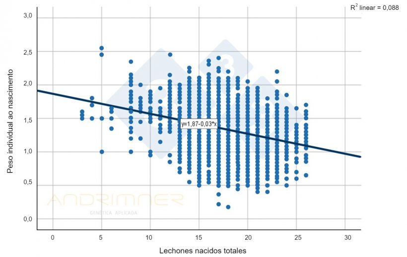 Gr&aacute;fico 1. Curva de regressão do total de nascimentos e do peso individual à nascença. Fonte: Javier Lorente. Exploração comercial, 3483 leitões pesados individualmente em 2021.