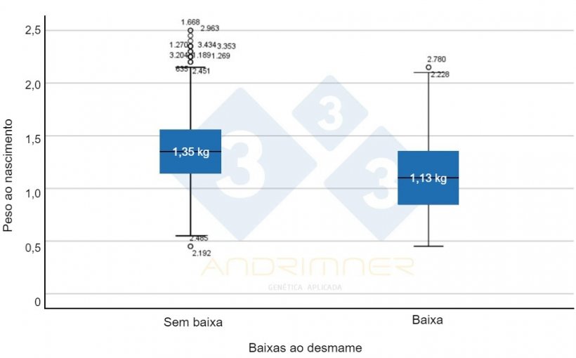 Gr&aacute;fico 4. Peso médio ao nascimento dos sobreviventes (&ldquo;sem baixas&rdquo;) e peso médio ao nascimento das baixas. Diferenças altamente significativas entre os dois grupos (F=155,713; p&lt;0,001) Fonte: Javier Lorente. Exploração comercial, 3483 leitões pesados individualmente em 2021.