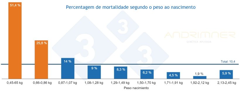 Gr&aacute;fico 3. Percentagem de mortalidade de acordo com o peso &agrave; nascen&ccedil;a. Fonte: Javier Lorente. Explora&ccedil;&atilde;o comercial, 3483 leit&otilde;es pesados individualmente em 2021.