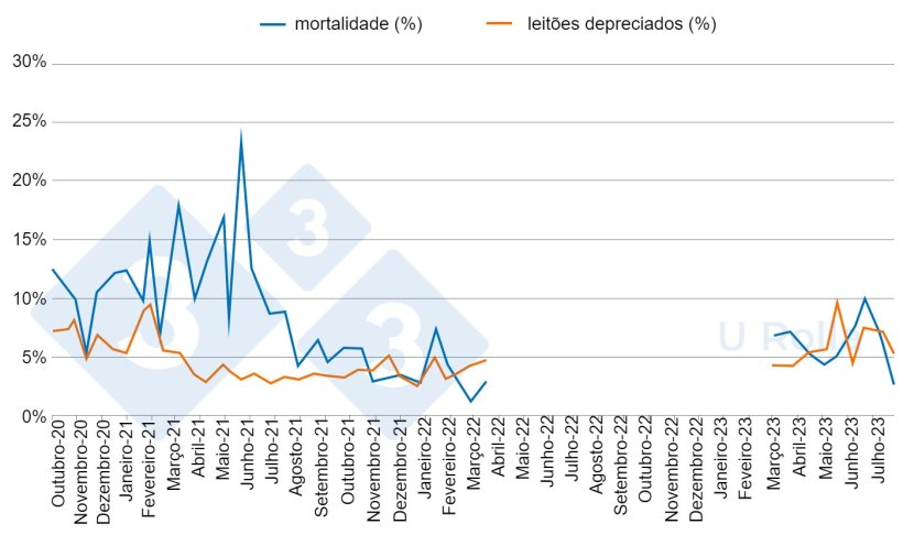 Fig. 5 Mortalidade (%) e propor&ccedil;&atilde;o de leit&otilde;es de segunda categoria ao desmame antes (Outubro de 2020 a Mar&ccedil;o de 2022) e depois (Mar&ccedil;o a Julho de 2023) do despovoamento/popula&ccedil;&atilde;o.