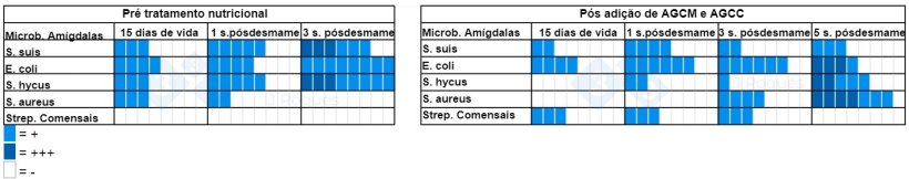 Tabela 2. Número de amostras positivas para cultura antes e depois da incorporação de ACGM e AGCC