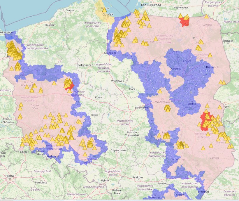 Map of ASF cases in wild boars in 2024.
