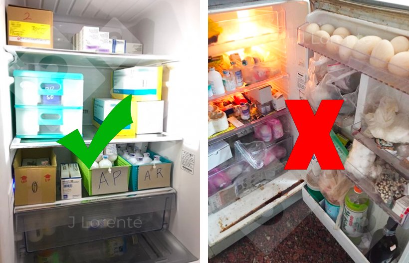 Figura 2. Frigorífico em bom estado (esquerda) e frigorífico em mau estado (direita)
