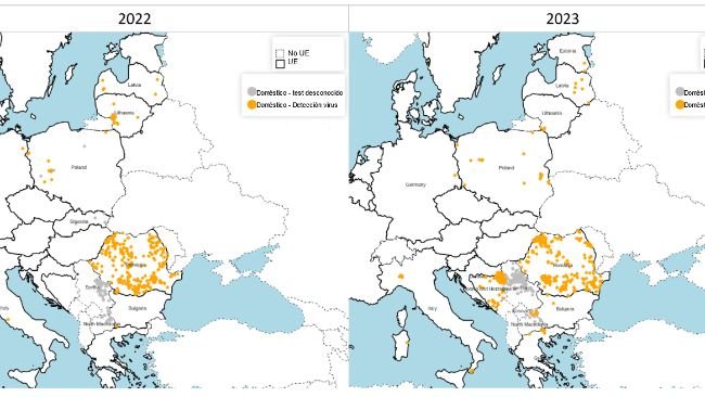 Distribuição espacial dos focos de PSA confirmados em 2022 entre suínos domésticos (esquerda) e 2023 (direita). Fonte: ADIS, consultado a 1 de Fevereiro de 2024. © EuroGeographics para os limites administrativos.