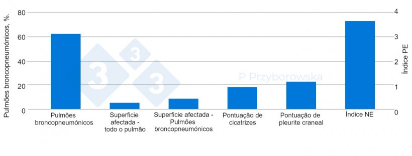 Figura 3. Os resultados da inspecção pulmonar são apresentados em forma de gr&aacute;fico.
