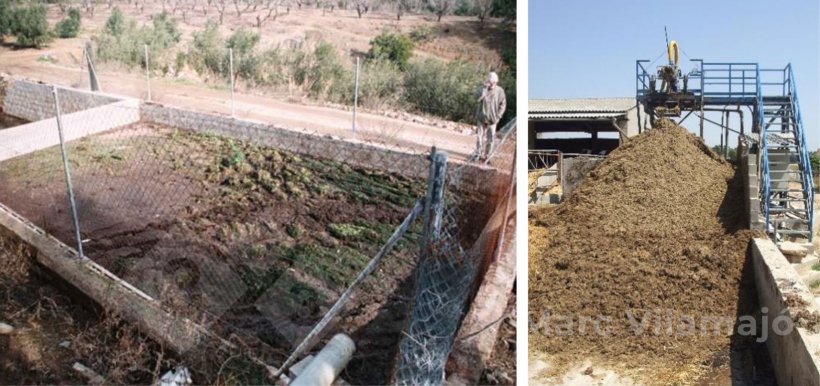 Foto 1. As fossas e as fossas de estrume são pontos críticos no controlo das moscas.