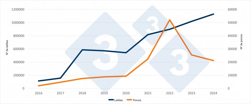 Importações espanholas de leitões e suínos holandeses durante os primeiros seis meses de 2016 a 2024. Fonte: 333 com base nos dados do RVO.