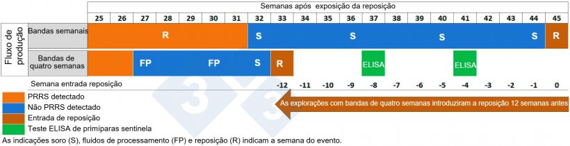 Figura 2. Comparação da entrada da reposição entre explorações com bandas semanais e bandas de quatro semanas.
