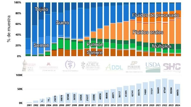 Figura 1. Número de casos desagregados por percentagem de amostras analisadas para PRRSV mediante RT-PCR ao longo do tempo nos E.U.A. (2001-2024). Imagem extra&iacute;da de la p&aacute;gina web del Swine Disease Reporting System (SDRS, https://fieldepi.org/domestic-swine-disease-monitoring-program/)
