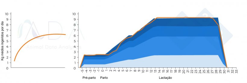 Figura 1. Padrão teórico de consumo alimentar ótimo da porca em lactação e resultados na prática