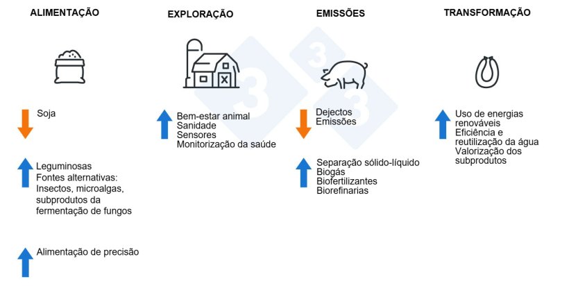 ¿Cómo hacer el sector porcino más sostenible?