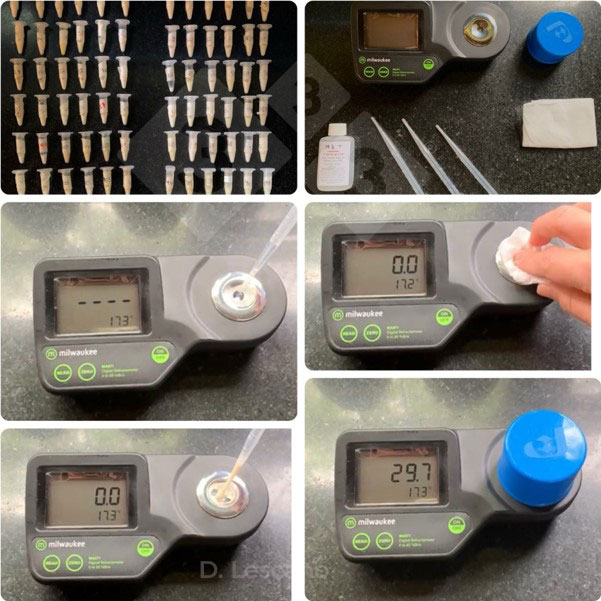 Foto 1. Uso de refractómetros digitais para a medição indirecta da concentração de imunoglobulinas