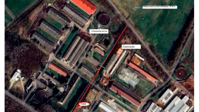 Exploração suína contacto onde foram abatidos preventivamente 9888 suínos.