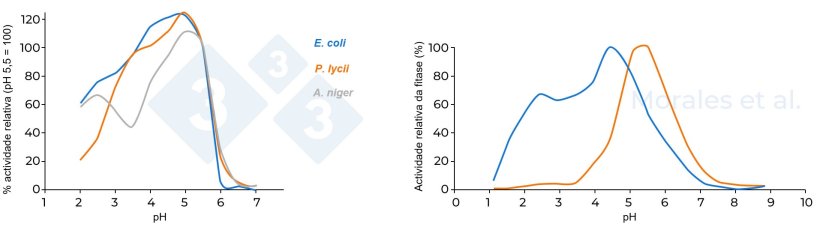 Figura 3. Actividade relativa de diferentes fitases. A figura da esquerda compara três fitases (A. niger, E. coli y P. lycii), tomando como referência uma actividade de 100% a pH 5,5 (Kumar et al., 2003). A figura da direita compara duas fitases (fitase microbiana E. coli e fitase fúngica P. lycii); a actividade máxima de fitase registada considera-se como 100% (Morales et al. 2011).