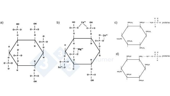Figura 1. Estrutura do ácido fítico a pH neutro (a); estrutura do ácido fítico quelado a pH neutro com catiões (b); estrutura do ácido fítico quelado com proteínas a pH ácido (c) e neutro (d). Adaptado de Humer et al. (2014).