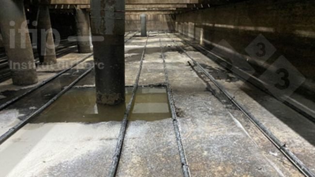 Lisiotermia em fundo de fossa em condições experimentais. Fonte: IFIP.