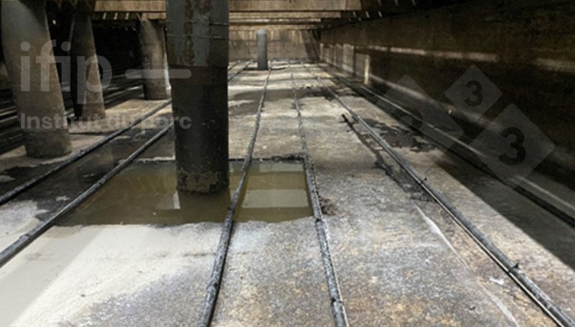 Lisiotermia em fundo de fossa em condi&ccedil;&otilde;es experimentais. Fonte: IFIP.
