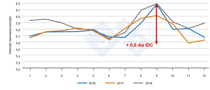 Figura 1. Intervalo desmame-cobrição em função do mês do ano. Fonte: PigChamp Pro Europa