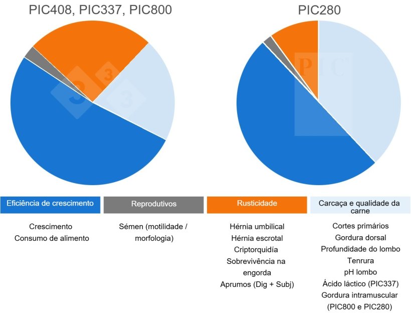 Objetivos de Seleção nas Linhas Terminais PIC
