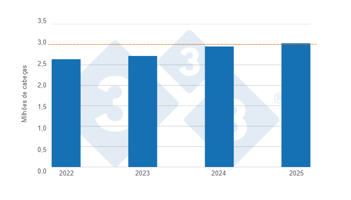 Gráfico 1: Abate de suínos no primeiro semestre dos últimos quatro anos.
Elaborado pelo Departamento de Economia e Sustentabilidade de 333 América Latina com dados DANE.