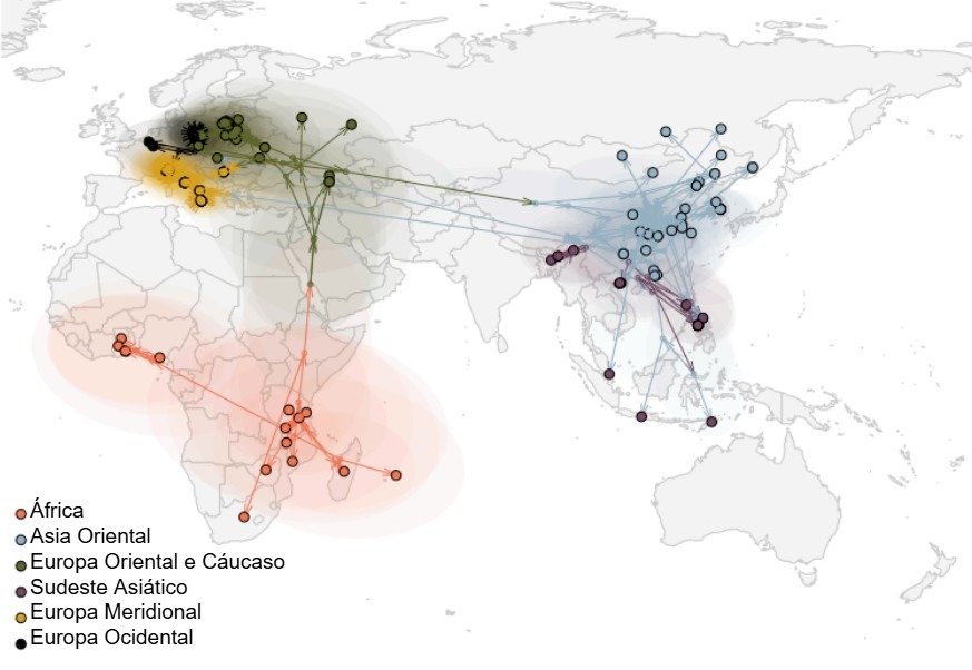 Figura 2. Dissemina&ccedil;&atilde;o global do v&iacute;rus da PSA (Rossi et al. bioRxiv 2025)
