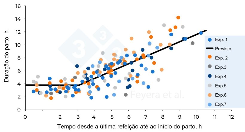 Figura 2. A relação entre o tempo decorrido desde a última refeição até ao início do parto e a duração do parto. Na Experiência 1, as porcas receberam duas rações por dia, enquanto que nas Experiências 2 a 7, as porcas receberam três rações por dia. Os círculos de cores diferentes indicam as porcas individuais estudadas nas sete experiências anteriores, enquanto a linha contínua indica os valores previstos. Feyera et al. (2018): Journal of Animal Science. 96:2320–2331.