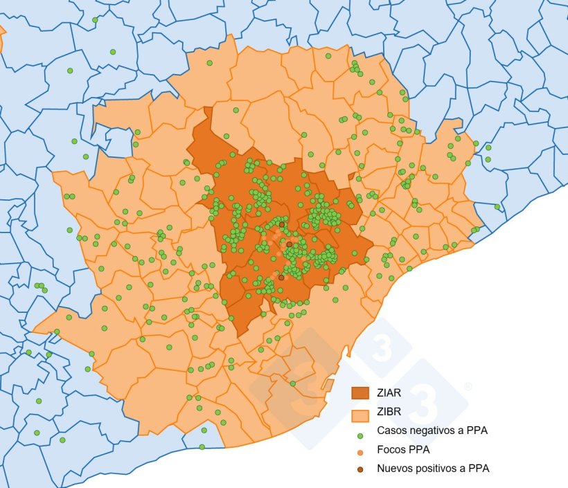 Localização dos 29 focos em javalis e dos javalis capturados ou encontrados mortos que testaram negativo na Catalunha (produção própria com base em dados do Ministério da Agricultura, Pescas e Alimentação).
Localización de los 29 focos en jabalíes silvestres y de los jabalíes capturados o hallados muertos negativos detectados en Cataluña (elaboración propia a partir de datos del MAPA).